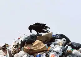 环保风情19  环保风情19