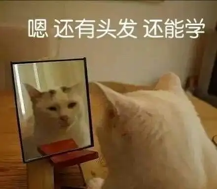  丑的人用什么头像
