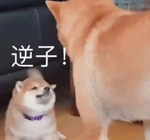网上叫妈的表情包滚蛋