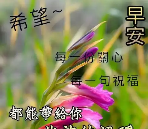  清晨暖心的早上好问候短信,最新好看的早安唯美图片带字