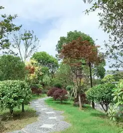  尊道贵德合自然铁树开花兆吉祥