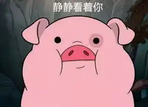  厦门这座山上惊现野猪还生了一窝猪仔记者调查发现原来...