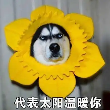  常德人本周末又将迎来一次降温降雨