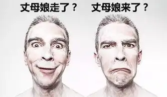  易车网潍坊郑州日产