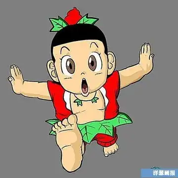 我的收藏  我的收藏