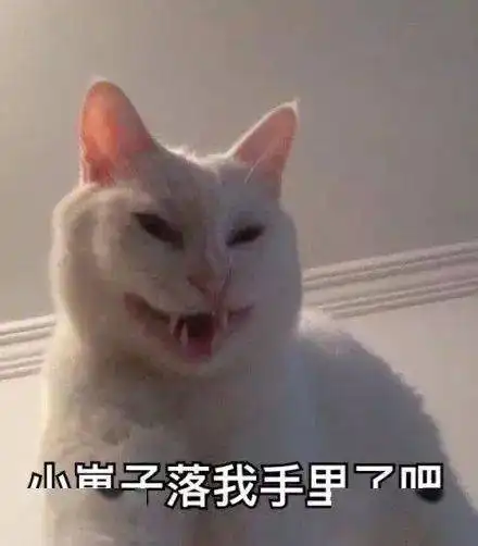  18岁出道即巅峰,惨遭无限期雪藏,37岁又凭借绝美素颜杀回来了