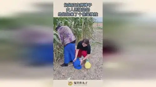 奶奶正在掰棒子,女人恶搞奶奶,给奶奶来了个偷梁换柱  奶奶正在掰棒子,女人恶搞奶奶,给奶奶来了个偷梁换柱