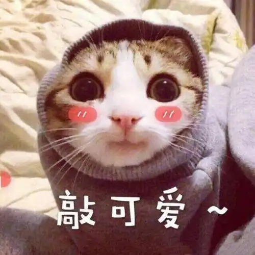 谢谢的搞笑图片哈哈哈