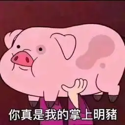 套路表情包一套猪猪猪