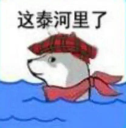  mr.quin秦先生这事合理吗这是河里吗表情包