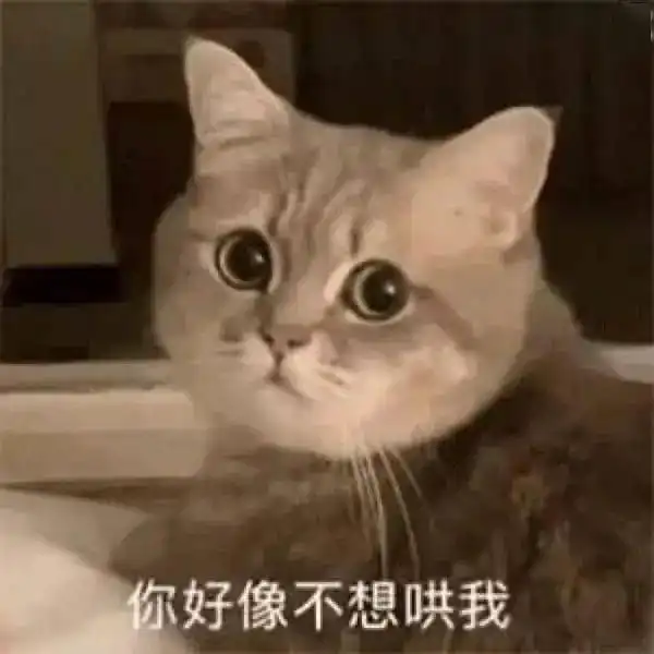 网上叫妈的表情包猫叫