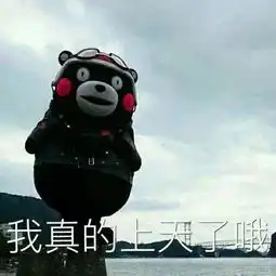  第十五届科技学术节我为软设代言之冲上云霄