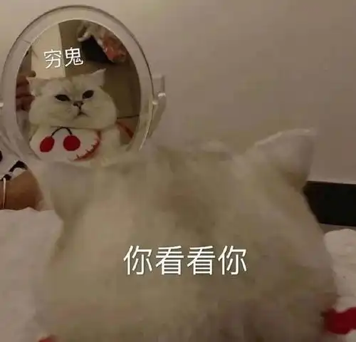 表情包图片微信聊天用的到 表情包图片微信聊天用的到