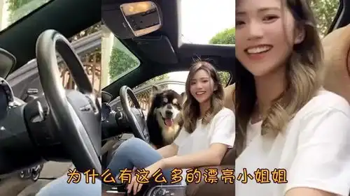  爆笑请问这样有颜又有才的小姐姐哪里找在线等,挺急的
