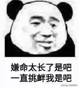  熊猫表情包06
