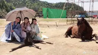  残忍范冰冰微博晒照,因涉嫌虐畜被网友指责,评论区骂声一片