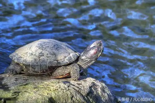 宋玉庆推荐你永远不知道在别人嘴中的你会有多少版本