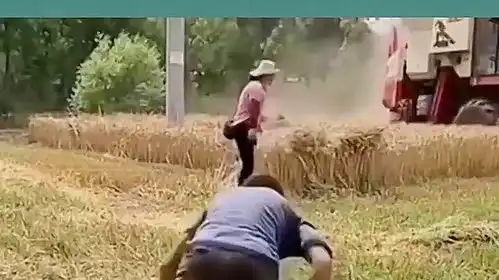 236.收割机师傅免费帮不会说话的孤寡老人收麦子正能量感动  236.收割机师傅免费帮不会说话的孤寡老人收麦子正能量感动