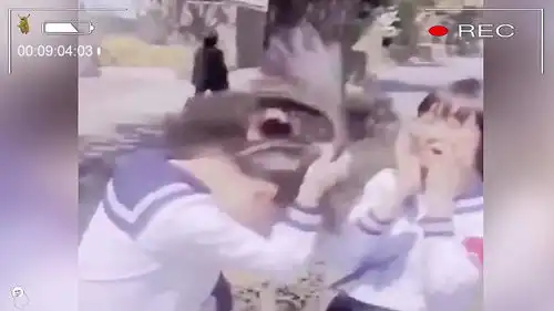  沙雕行为大赏爆笑来袭见过真人双马尾表情包吗搞笑视频