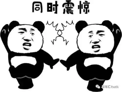 双12第一批沙雕卖家秀流出,哈哈哈哈哈哈哈太tm可怕了吧