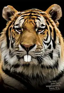 超萌超搞笑的平面广告创意,金刚好有爱,猫堆糖,美图壁纸兴趣社区  超萌超搞笑的平面广告创意,金刚好有爱,猫堆糖,美图壁纸兴趣社区