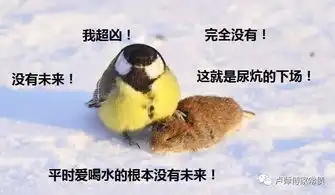  债券狗快疯了累得怀疑人生接下来的不好做,做出来的不好批,批出来的不好卖