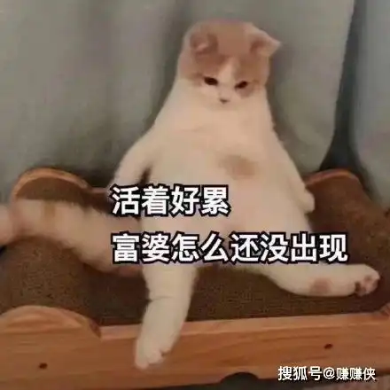  搞笑表情包图片够大吧,动心就是你的不对了
