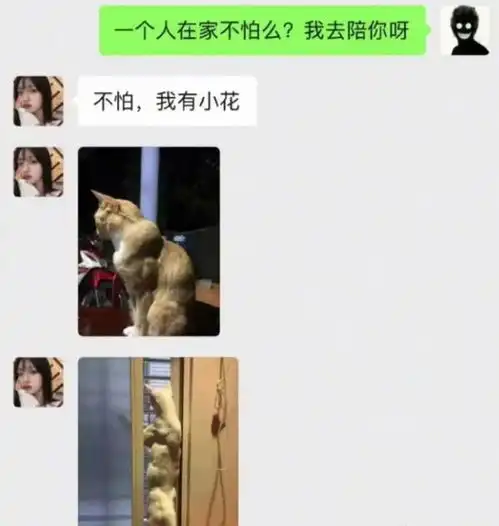  搞笑图集什么工作看起来不体面,但是工资特别高那可太多了,哈哈哈哈