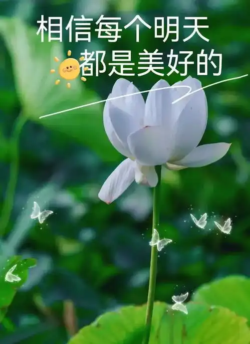  2024年6月27日最新早上好图片送好友早安问候图片