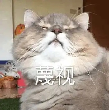 可爱搞笑表情包图片偷听大佬聊天,你管我几点睡 可爱搞笑表情包图片偷听大佬聊天,你管我几点睡