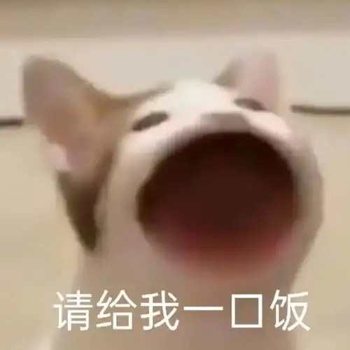  沙雕表情包宝贝儿,妈妈爱你