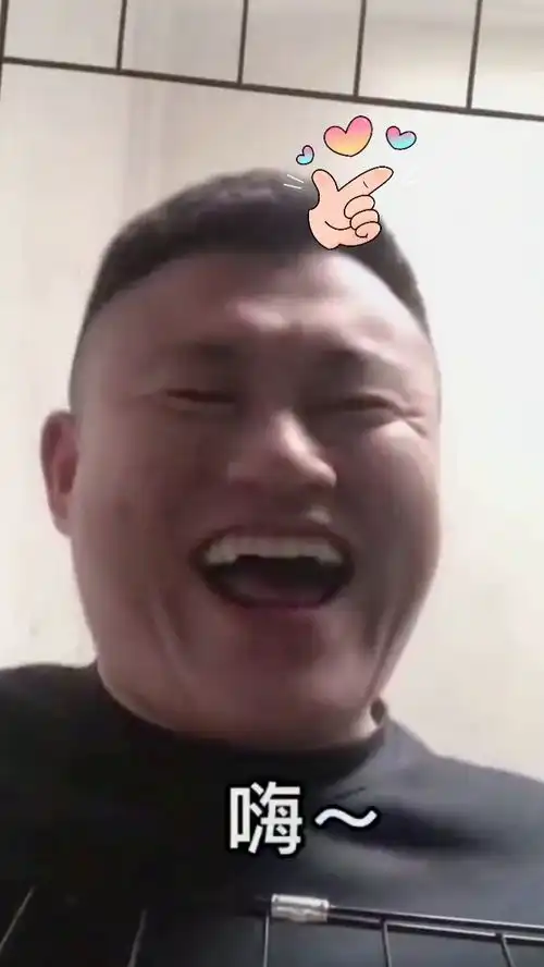  球球也看不懂,就感觉好玩