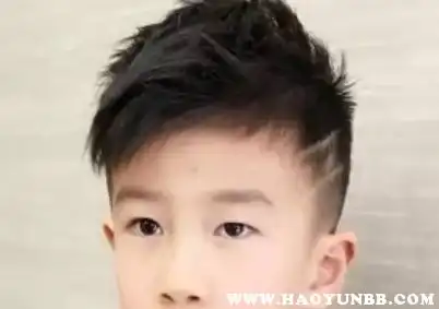 男孩子的发型儿童2020最新款潮流短发图片大全  男孩子的发型儿童2020最新款潮流短发图片大全