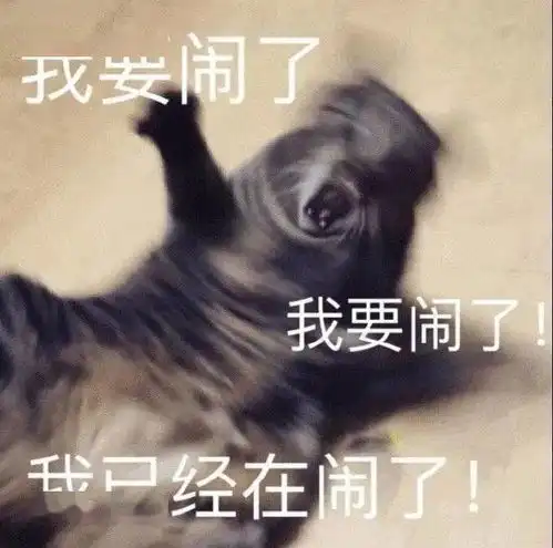全是我的错表情包一代人
