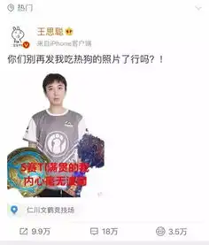  全网恶搞当着5万人的面吃热狗,大概是王思聪最后悔的事吧