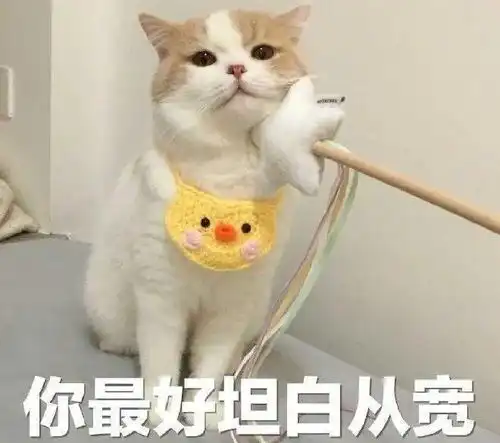 哈哈喵开黑的表情包哈哈