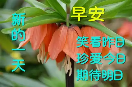 2020早上好动态表情图片大全,早晨好问候语句子  2020早上好动态表情图片大全,早晨好问候语句子