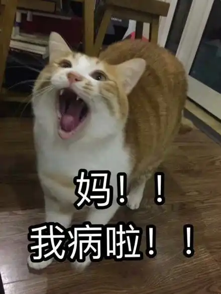  本宝宝饿了表情包