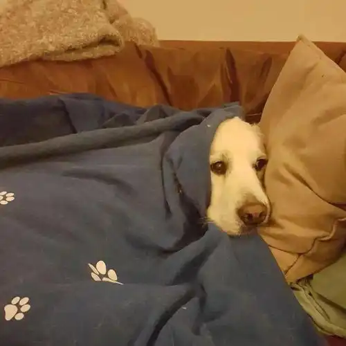 趣味搞怪头像  趣味搞怪头像