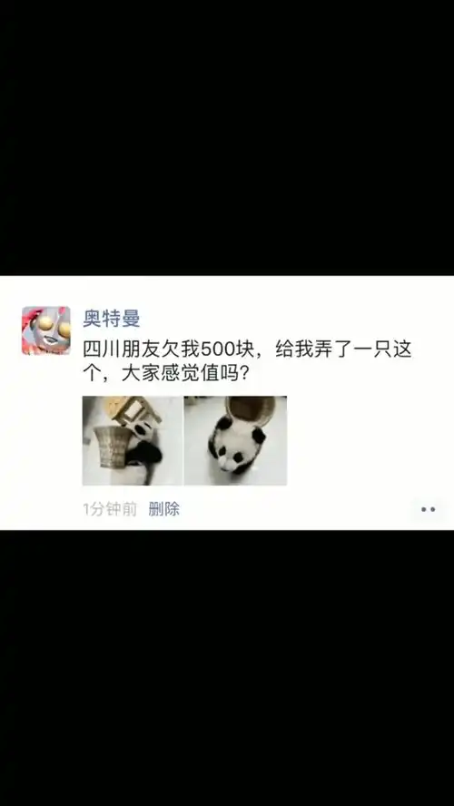  应该喂点什么啊微信朋友圈表情包小可爱已上线