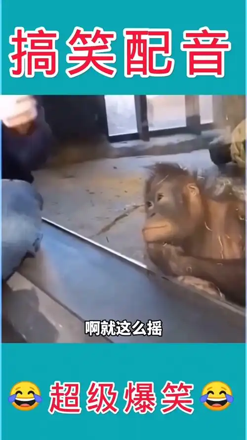  搞笑配音神奇的魔术