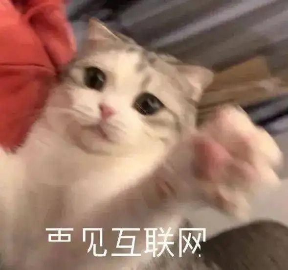  表情包