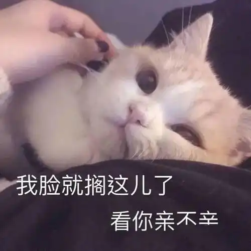  适合哄男朋友的甜甜的表情包