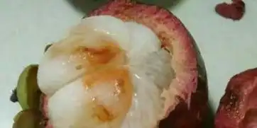  黑猫投诉京东商城良田悦味店铺购山竹到货全坏果