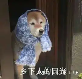  海汇国际,投资理财怎样