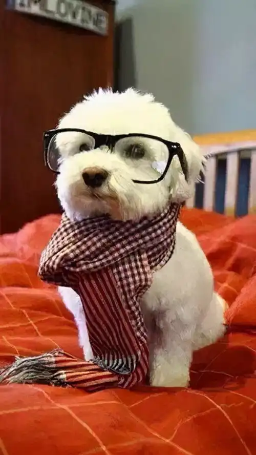  这样的朋友圈,女生看一眼就会喜欢