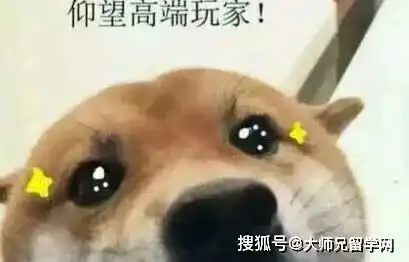  当相亲遇上学历鄙视链,名校成了新时代的门当户对