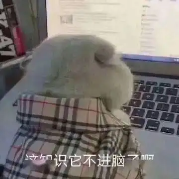  文末有奖无聊的时候就学习,因为学习的时候