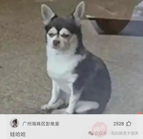  今日神回复8碗面,一碗4.75万,不就回本了
