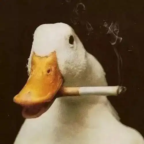  一波搞笑的沙雕头像
